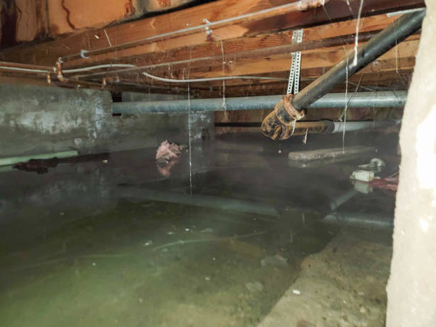 Best Sewage cleanup and water damage restoration  in Laguna Niguel, CA