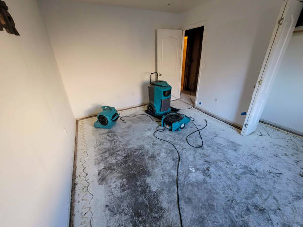 Laguna Niguel, CA Water damage restoration Company