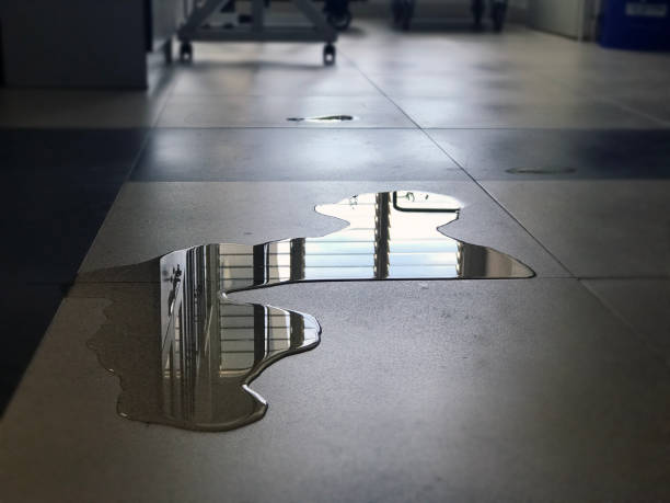 Best Water damage contractors near me  in Laguna Niguel, CA