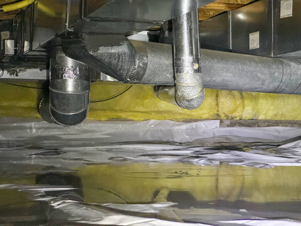Best Water damage cleanup near me  in Laguna Niguel, CA