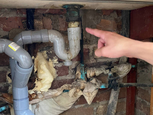Best Local water damage restoration  in Laguna Niguel, CA