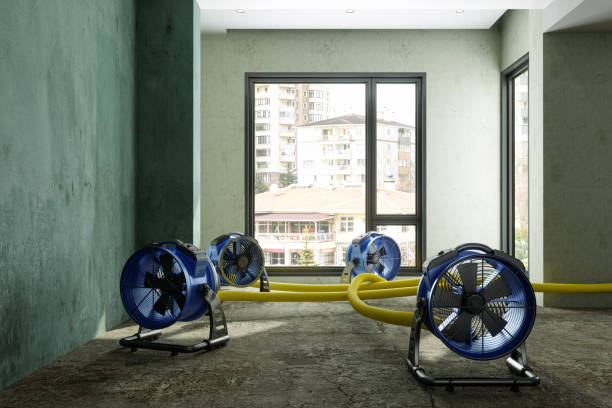 Best Flood restoration services  in Laguna Niguel, CA